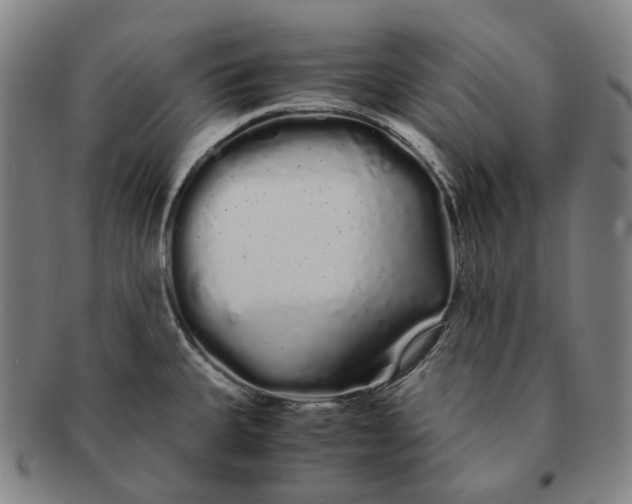 X0000091241335200708301530