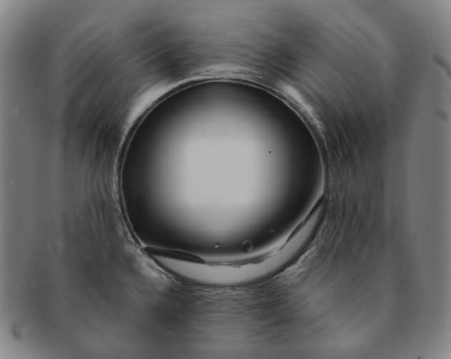 X0000091241336200708301530