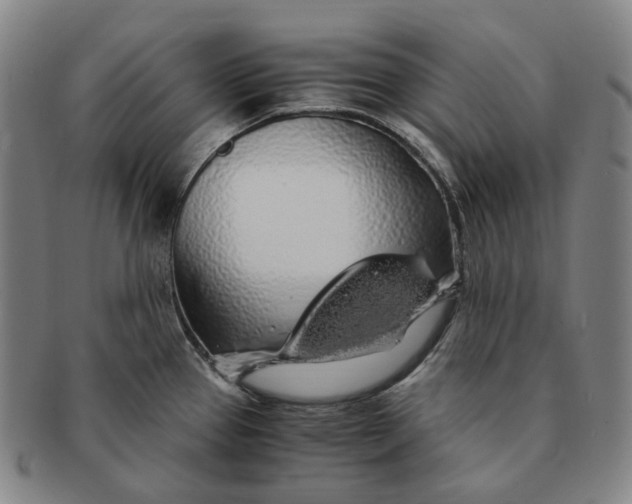 X0000091241337200708301530