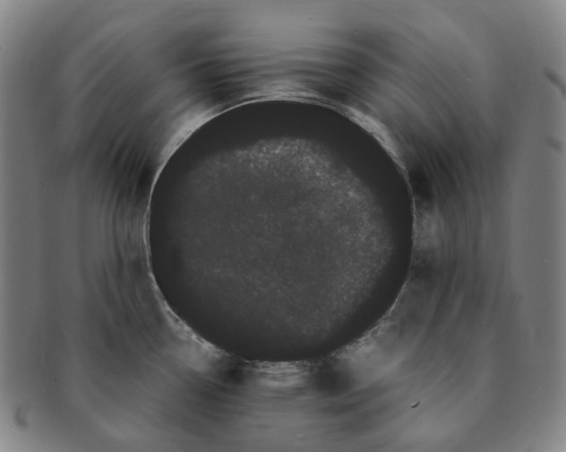 X0000091241338200708301530