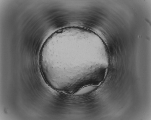 X0000091241339200708301530