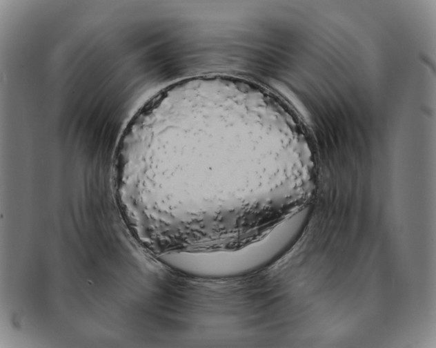 X0000091241340200708301530