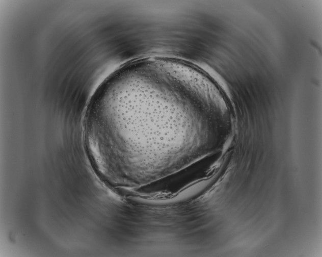 X0000091241341200708301530