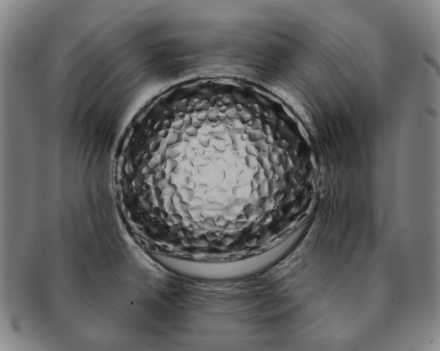 X0000091241342200708301530