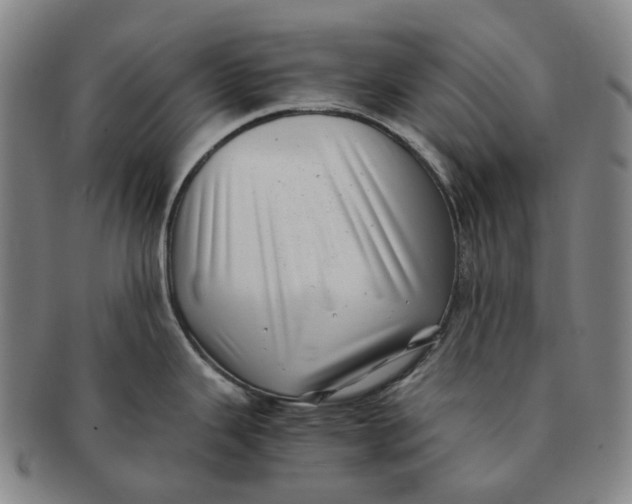 X0000091241343200708301530