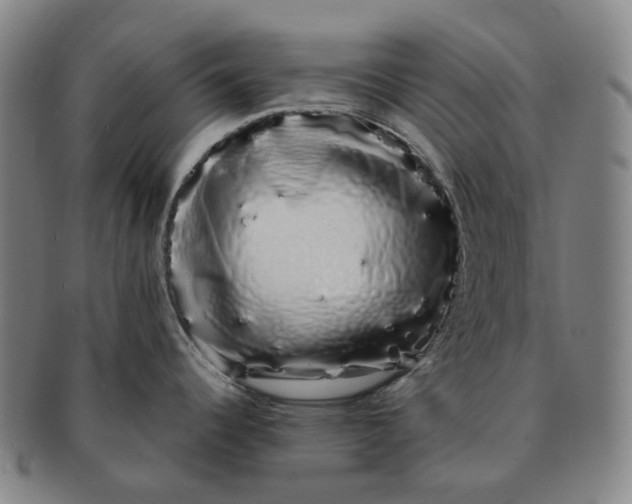 X0000091241344200708301530