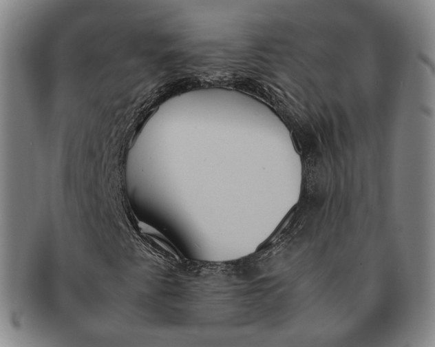 X0000091241345200708301529