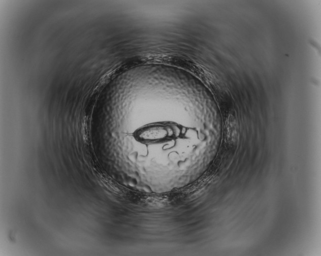 X0000091241346200708301529