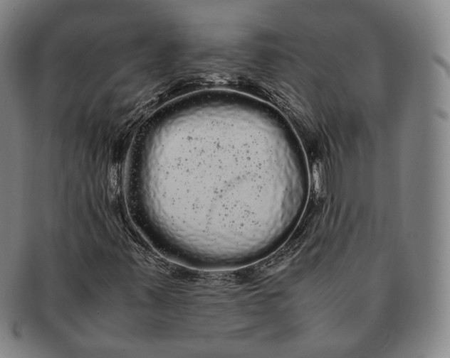 X0000091241347200708301529