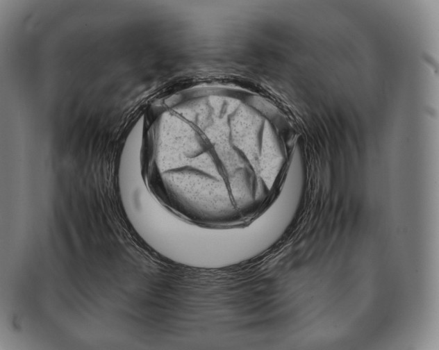 X0000091241348200708301529