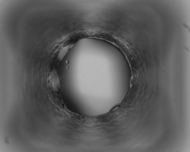 X0000091241349200708301529