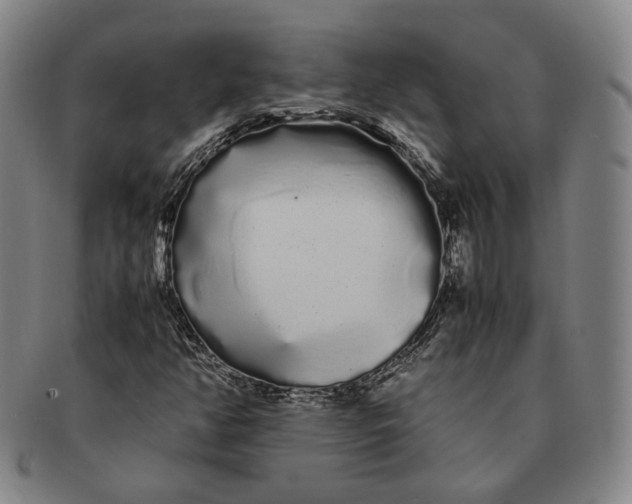 X0000091241350200708301529