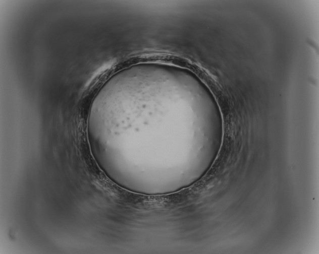 X0000091241351200708301529