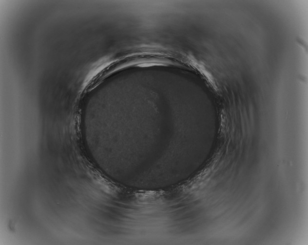 X0000091241352200708301529