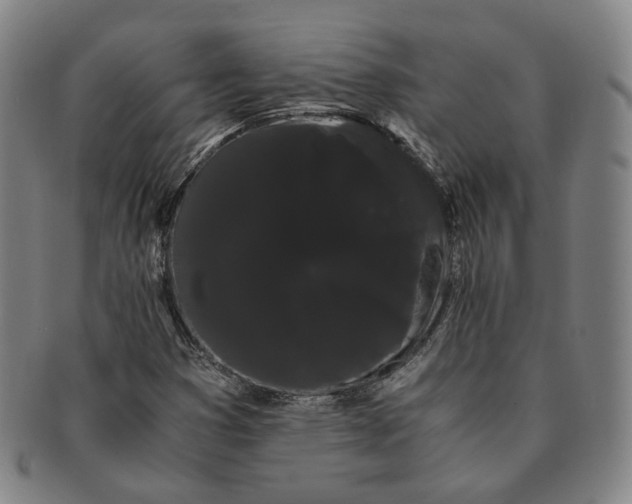 X0000091241353200708301529