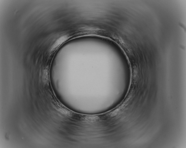 X0000091241354200708301529