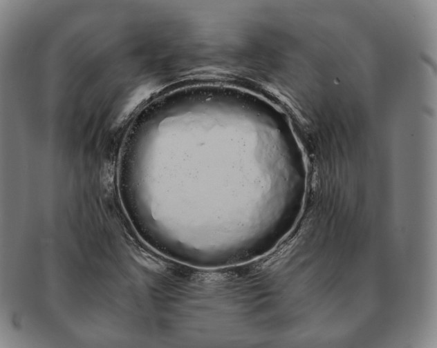 X0000091241355200708301529