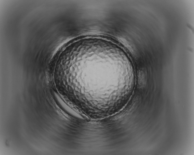 X0000091241356200708301529