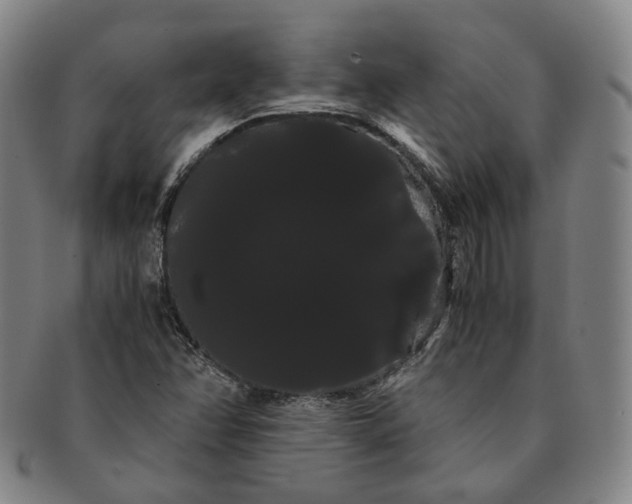 X0000091241358200708301529