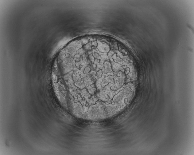 X0000091241359200708301529