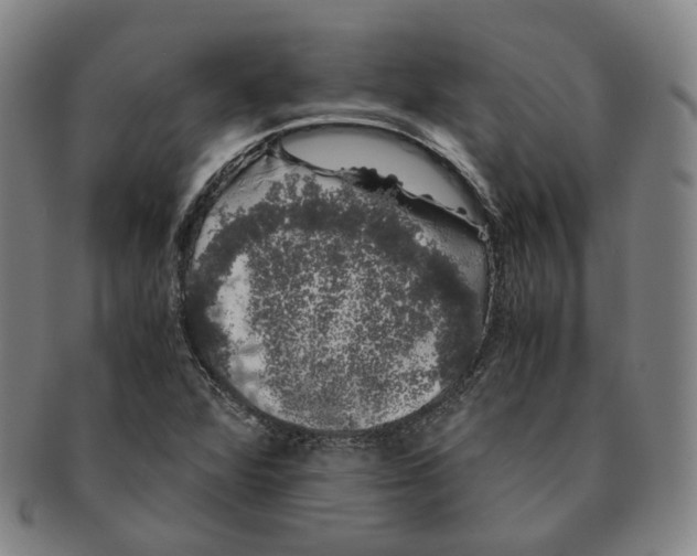 X0000091241360200708301529