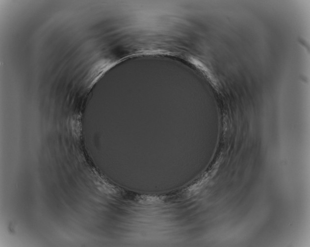 X0000091241361200708301529