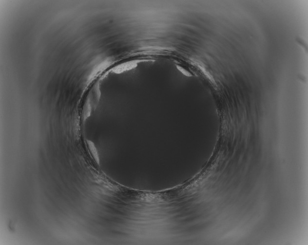 X0000091241362200708301529