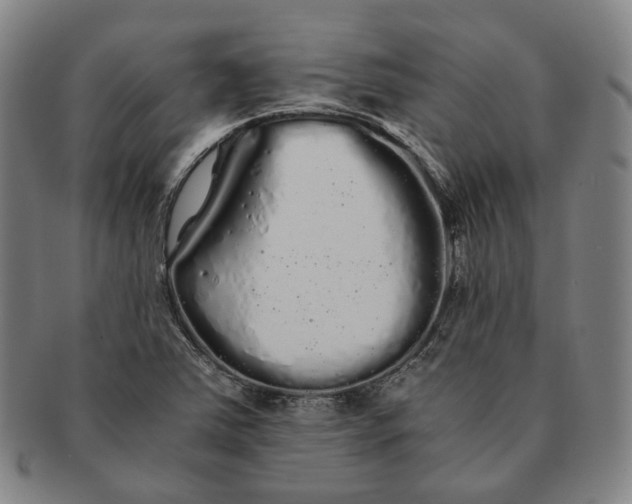 X0000091241363200708301529