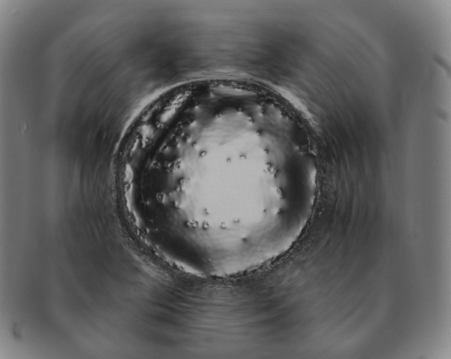 X0000091241364200708301529