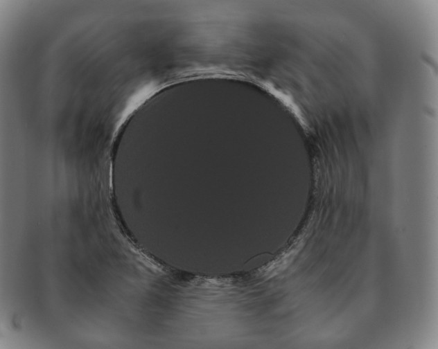 X0000091241365200708301529