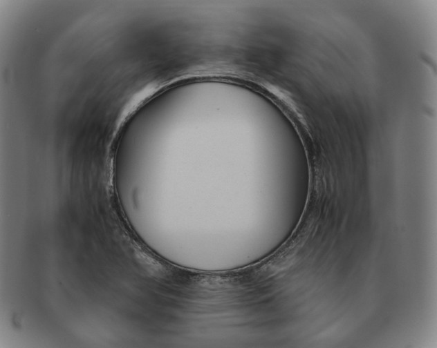 X0000091241366200708301529