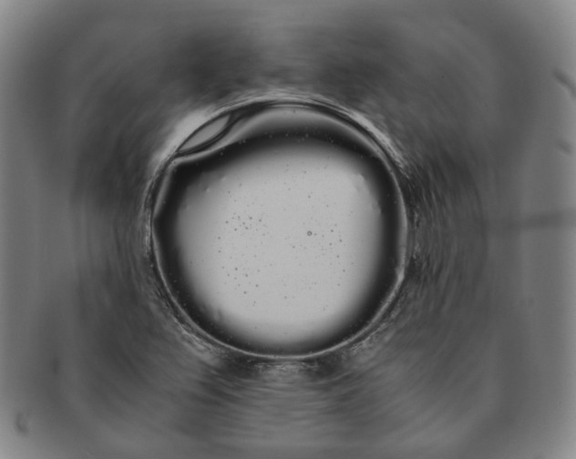 X0000091241367200708301529