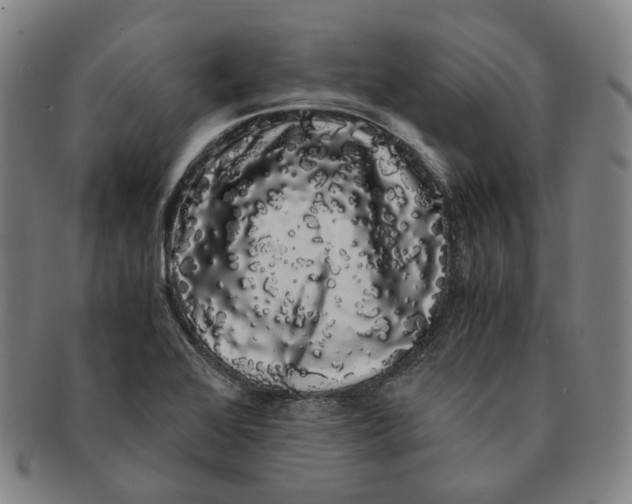 X0000091241368200708301529