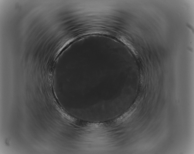 X0000091241369200708301529