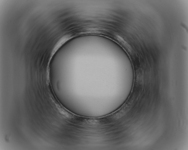 X0000091241370200708301529