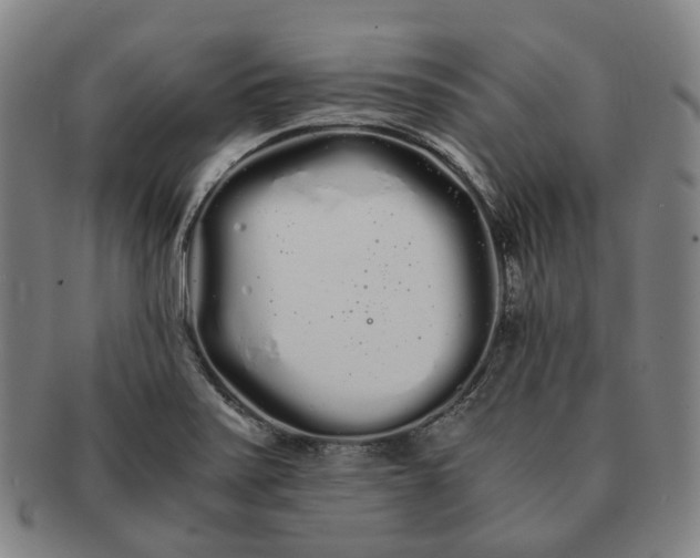 X0000091241371200708301529