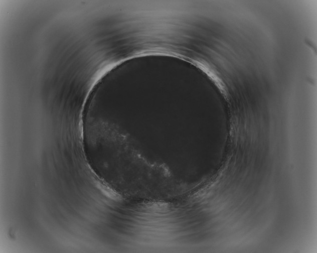 X0000091241372200708301529