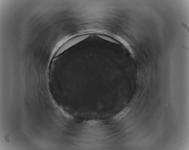 X0000091241373200708301529