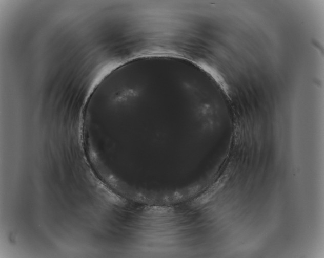 X0000091241374200708301529