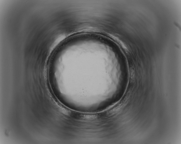 X0000091241375200708301529