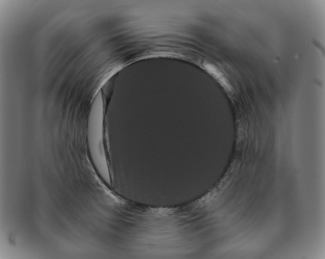 X0000091241377200708301529