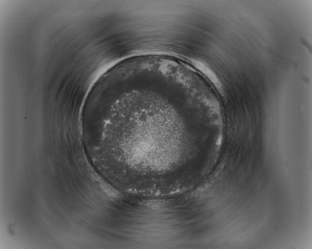 X0000091241380200708301529