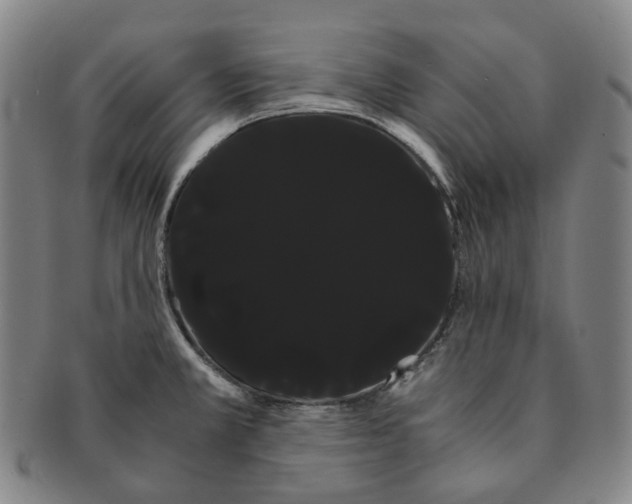 X0000091241381200708301529