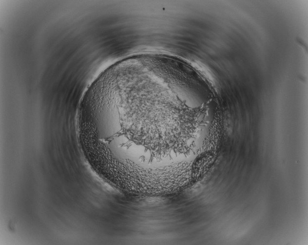 X0000091241382200708301529