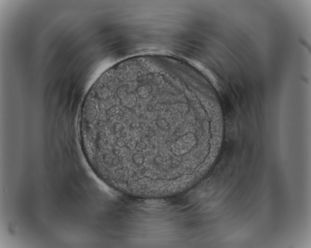 X0000091241383200708301529