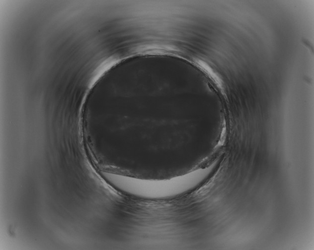 X0000091241384200708301529