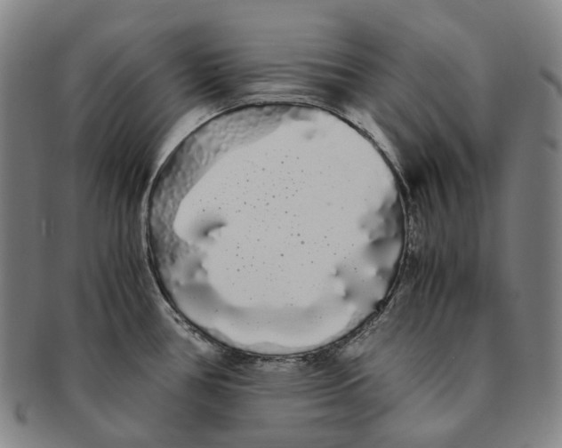 X0000091241386200708301529