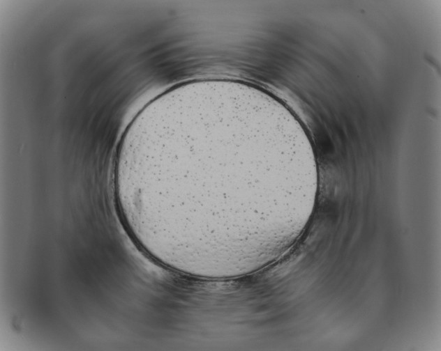 X0000091241387200708301529