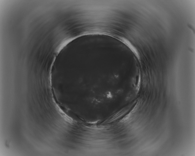 X0000091241388200708301529