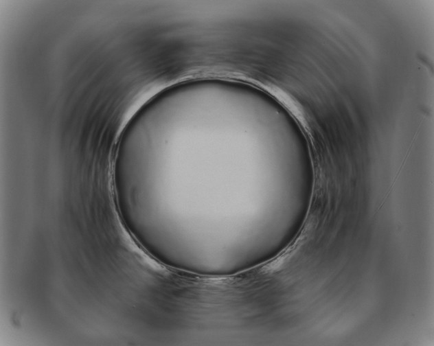 X0000091241390200708301529